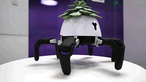 Робот начинает поднимать лапы, когда подопечный нуждается в поливе