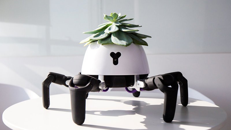 Пекинский стартап Vincross представил робота, призванного позаботиться о комнатных растениях 