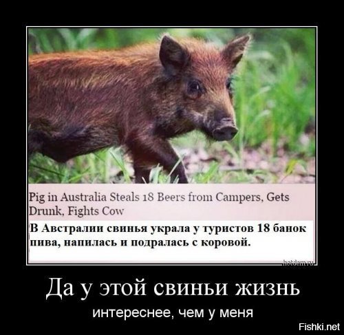https://cdn.fishki.net/upload/post/2018/07/17/2653169/1166e7b2c2ec22e3b63e466602fd6cfb.jpg