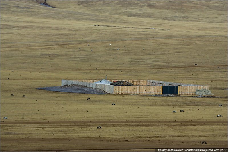 И последний вопрос: "Зачем в Монголии строят заборы?". Там же всё равно на десятки километров ни души...