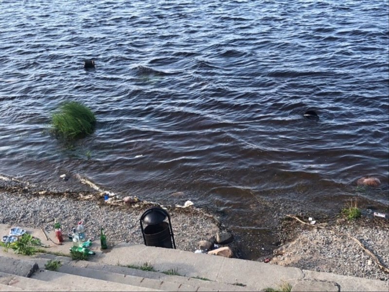Как пьяные вандалы громили в Рыбинске новую остановку