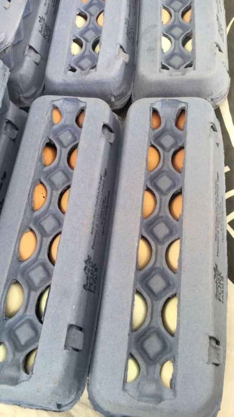 Цветовая гамма свежих фермерских яиц: