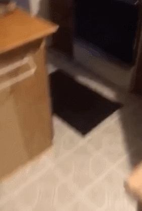 Гифки дня Гифки дня