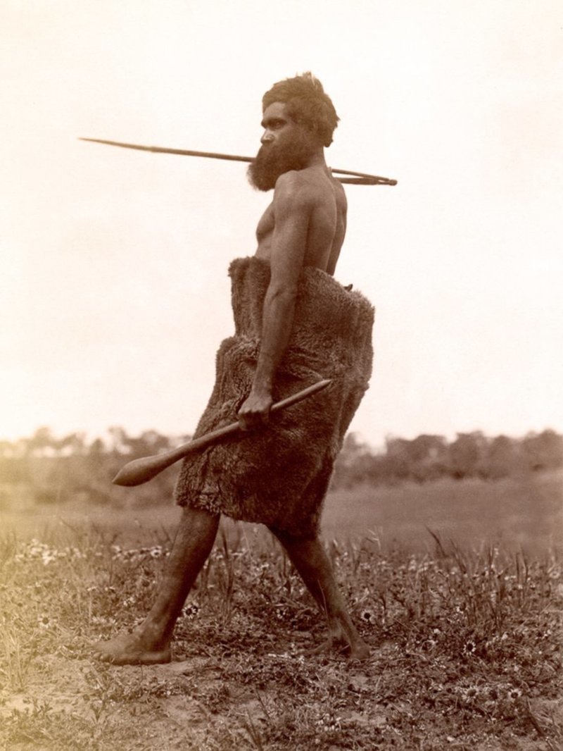 Старейшина племени Нгарринджери (или Каурна) в повязке из шкуры кенгуру, с метательным копьем в одной руке и дубинкой в другой, Южная Австралия, конец 19 века
