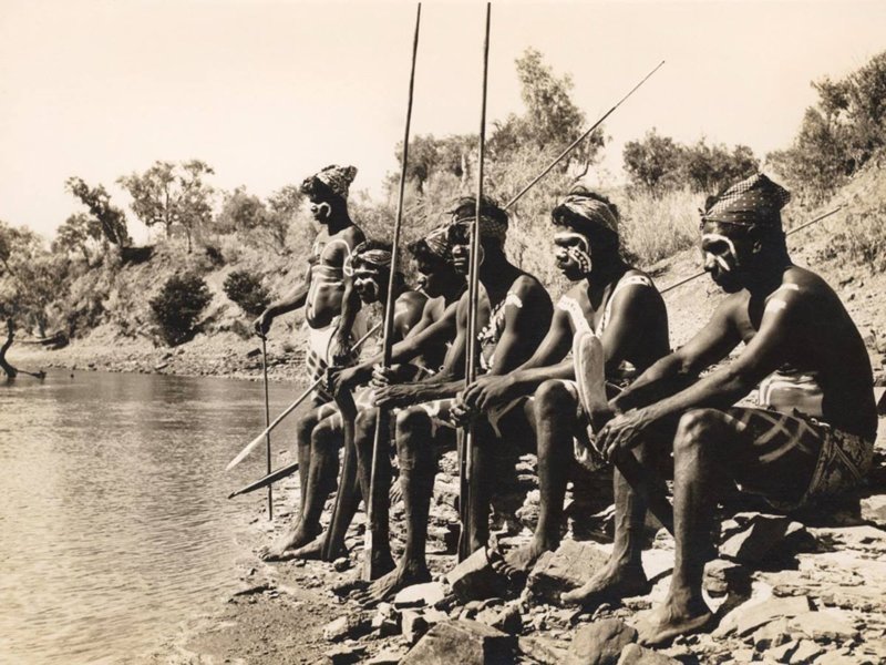 Охотники высматривают крокодилов в ожидании церемонии на реке Виктория, 1952 г.