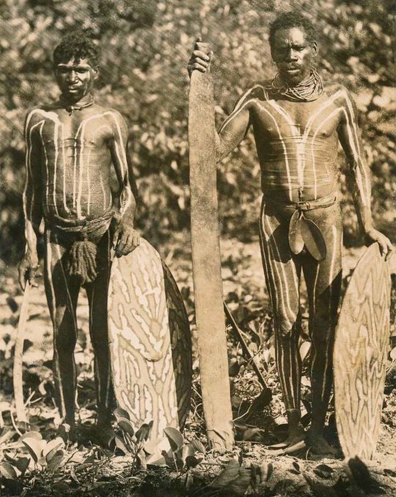 Два бушмена в боевой раскраске, с оружием и щитами из фигового дерева "магурра", северный Квинсленд, 1800-е гг.