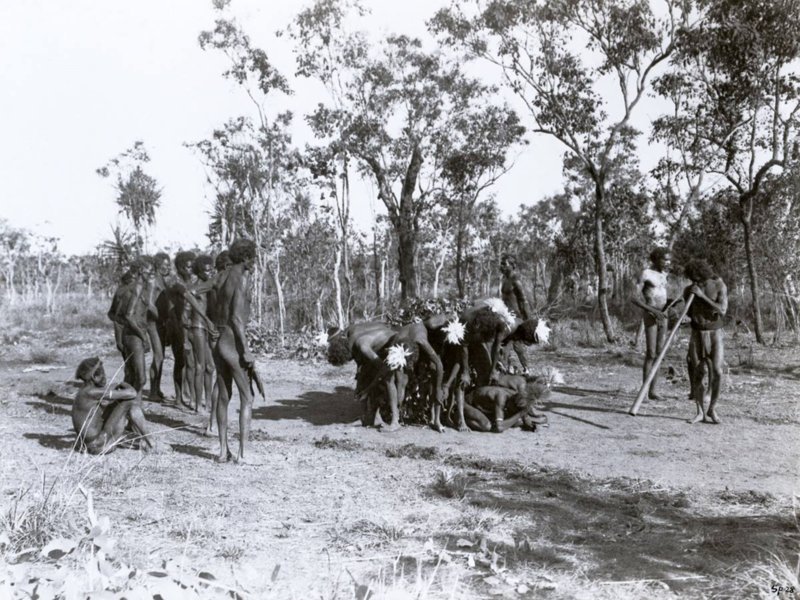 Одна из самых ранних известных фотографий диджериду (музыкального духового инструмента аборигенов Австралии), район Alligator River, Северная территория, 1901 г.