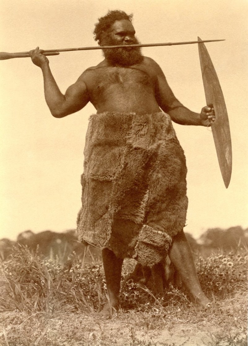 Луи Нгулгаре из племени Нгарринджери с копьем, щитом и в шкуре кенгуру, Пойнт МакЛи, Южная Австралия, 1875 г.