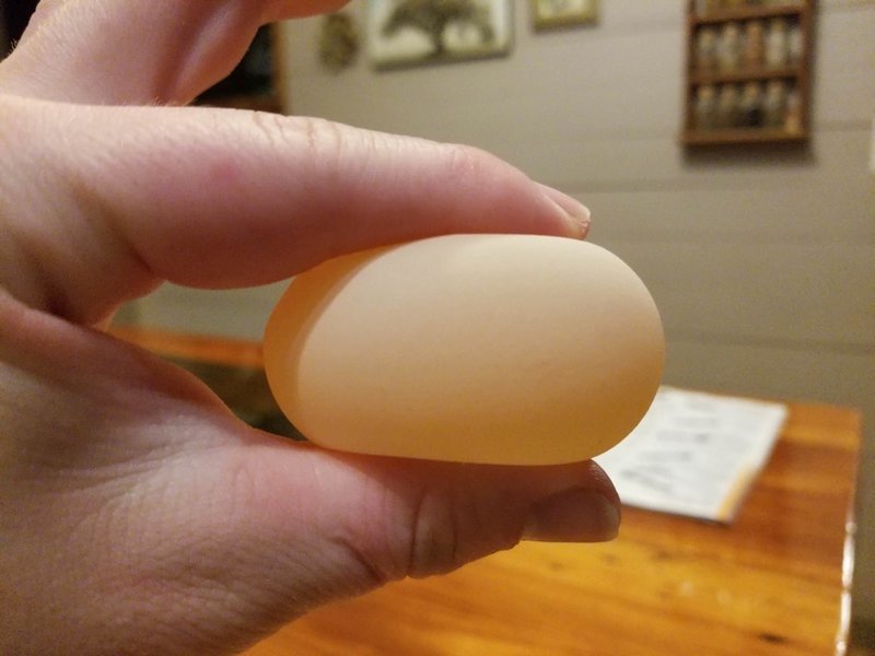 1. У этого яйца нет скорлупы, и его внутреннее содержимое не выплёскивается исключительно из-за мембраны