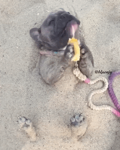 Не жизнь, а сплошное удовольствие