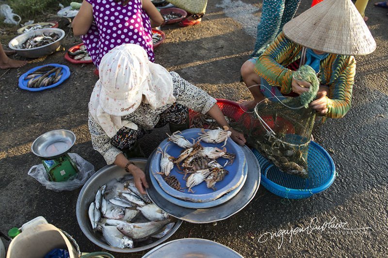 Мирная рыбацкая деревушка в Хюэ, Вьетнам