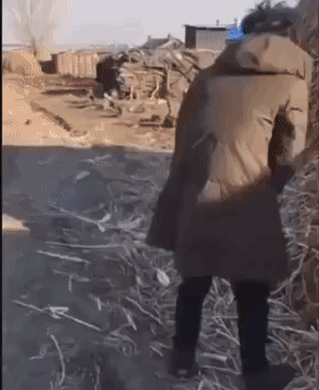 5e0f43f770abdd44ceca119901f68443.gif