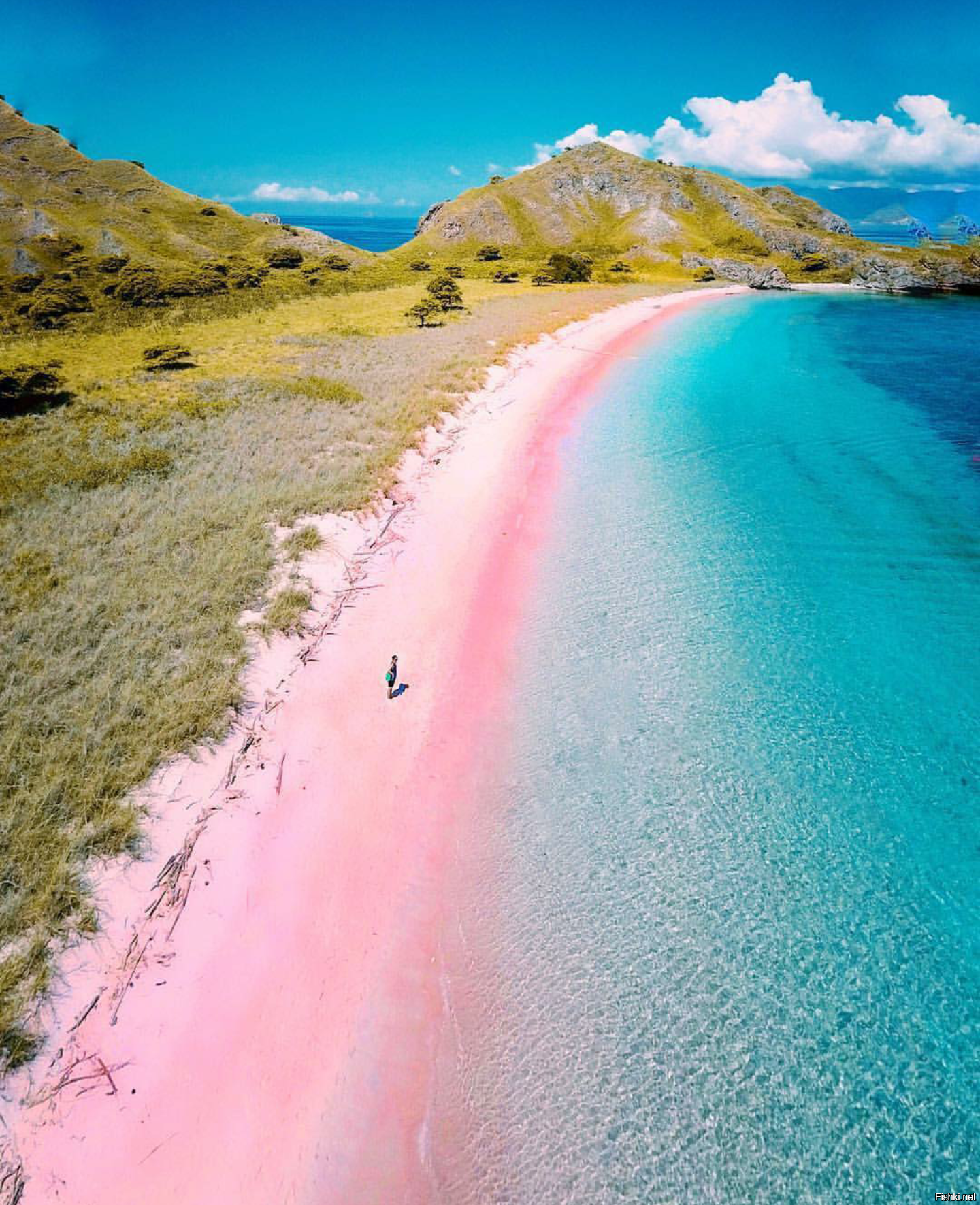 Красивые места пляжи. Розовый пляж на острове Комодо. Розовый пляж Пинк Сэнд Бич, Багамские острова. Розовый пляж на острове Комодо Индонезия. Пляж Пинк-Сэнд-Бич, Харбор, Багамские острова.