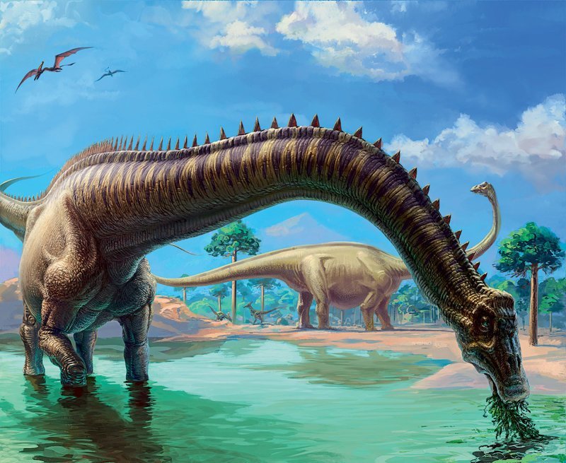 Так что-же жрали динозавры? Шишки юрскаого периода