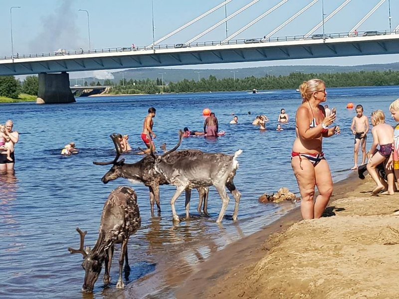 В Финляндию пришла жара