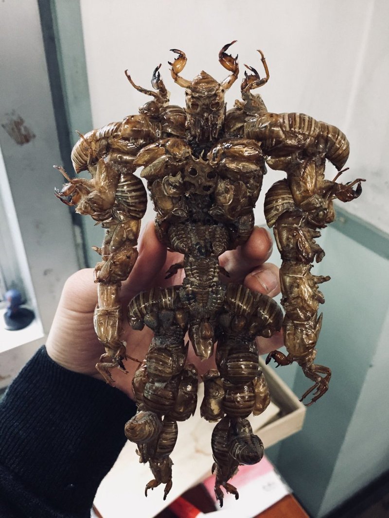 Школьник из Японии сделал уникальную статуэтку монстра из насекомых 