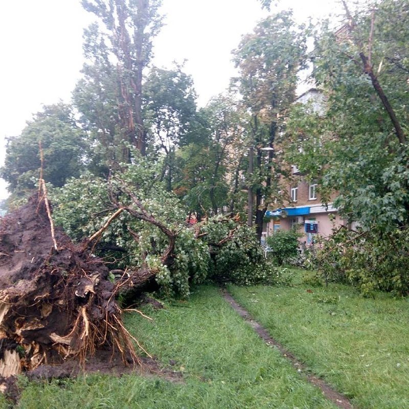 Вчерашний дождь и ураган в Киеве
