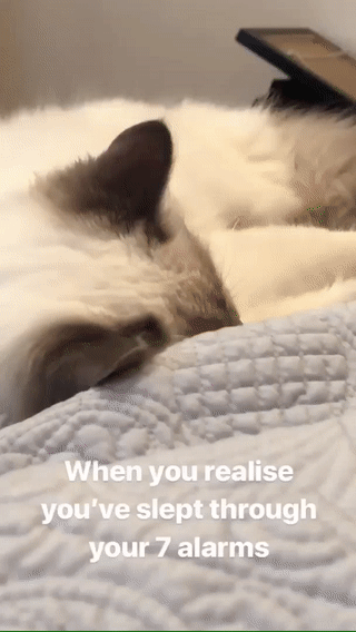 Все проспал