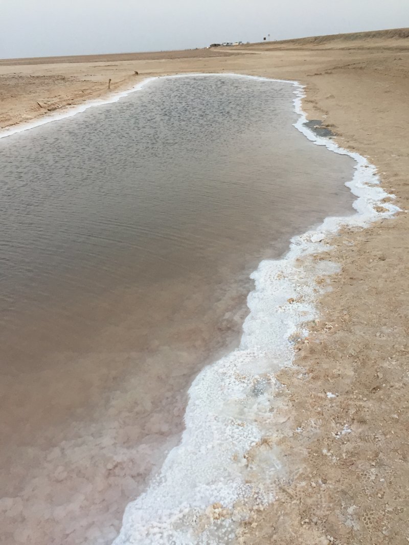 День второй. Соленое озеро Эль- Джерид