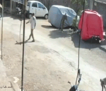 Весёлые гифки