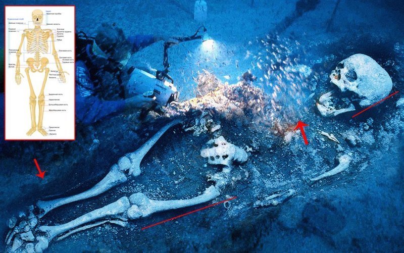 Снова в океане найден гигантский скелет атланта!