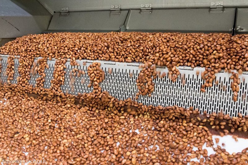 Для M&M’s с арахисом орехи, которые привозят в Хакеттстаун в основном с юго-востока США, сначала обжариваются. Затем их поливают шоколадом в три слоя, чтобы добиться нужного соотношения.