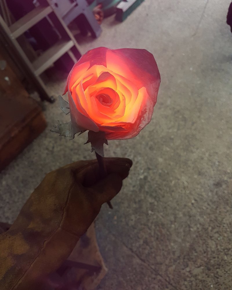 Раскаленная роза