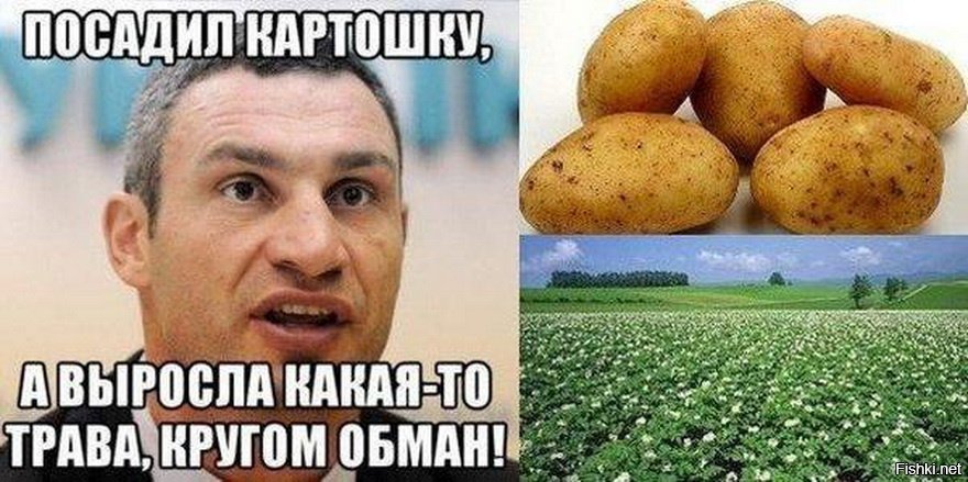 Какие выросши вы будете. Картошка прикол. Шутки про картошку. Картофель мемы.