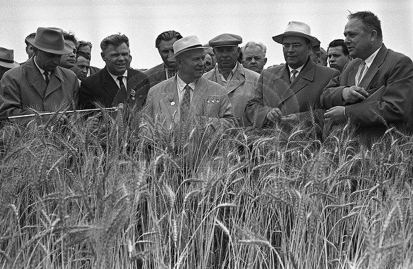 1954 жылы. Сельское хозяйство при Хрущеве. Хрущев на кукурузном поле. Колхозы при Хрущеве. Хрущев в колхозе.
