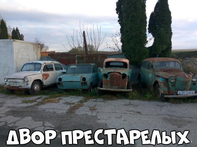 Автовсячина