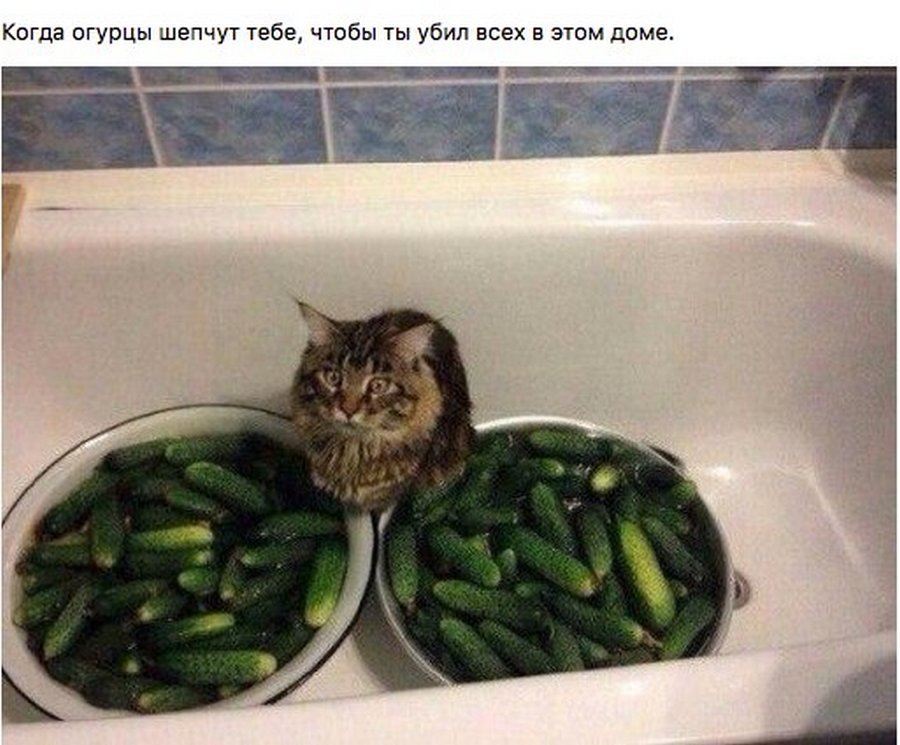 Толика чёрного юмора  