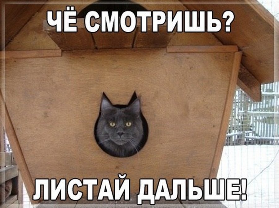 Толика чёрного юмора  