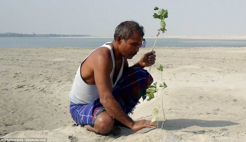 Джадав Пайенг - человек, который за 40 лет превратил пустыню в заповедный лес
