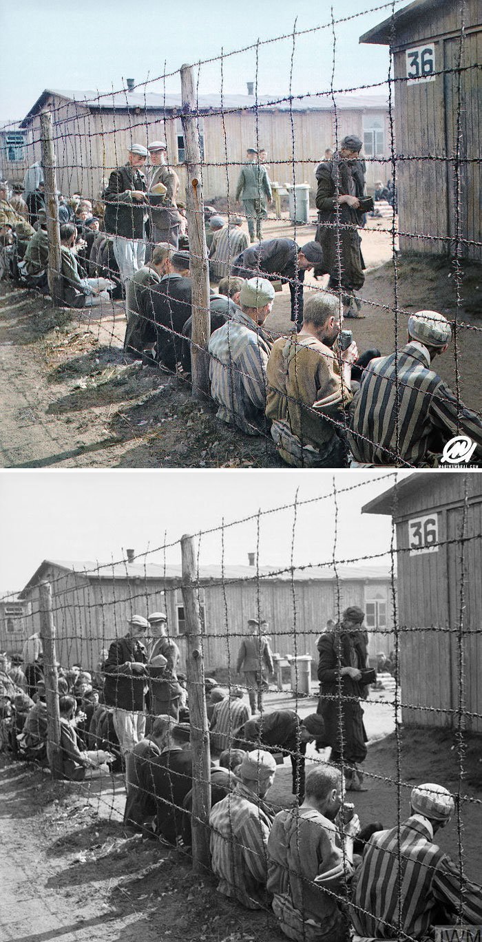 Освобождение узников лагеря Берген-Бельзен, апрель 1945 года