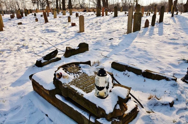 Поляк два года воровал тела с кладбищ и хоронил их в лесу возле дома