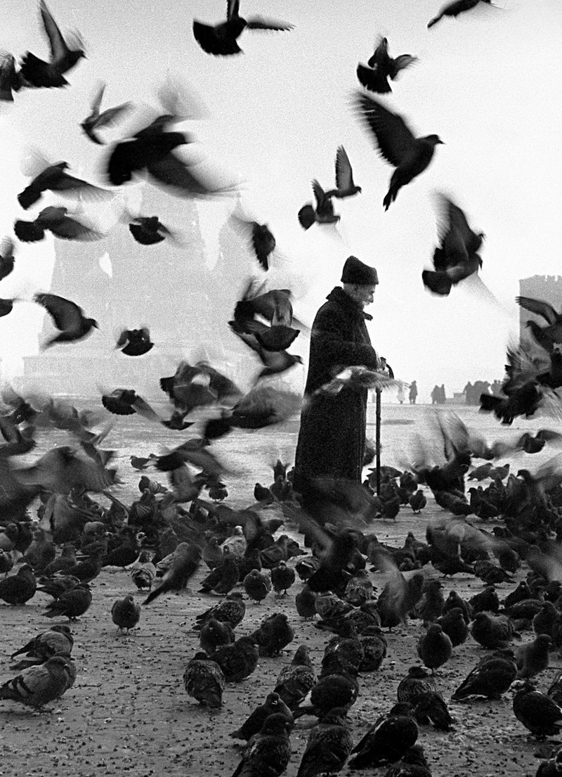 "Пожилой мужчина и голуби" (1950-60-е)