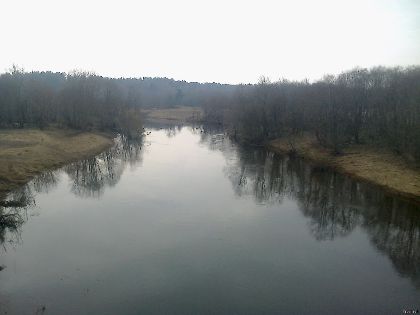 Уровень воды в угре товарково сегодня. Река Угра Товарково. Река Угра всходы. АН-река Угра. Река Угра весной.