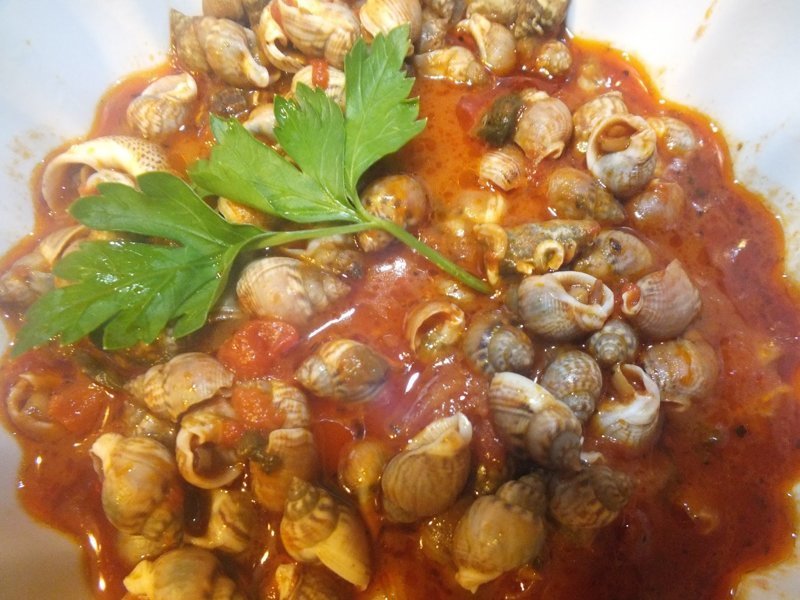 Советы по поеданию моллюсков, улиток и прочих вкусных гадов в ракушках