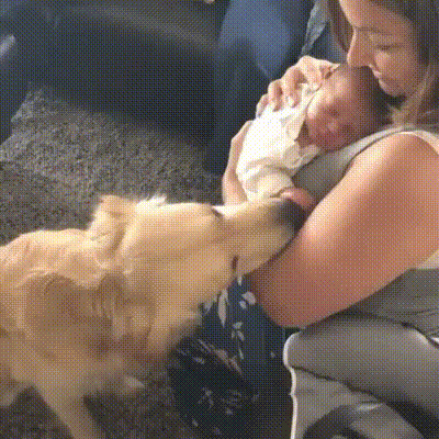 Знакомство с новым членом семьи