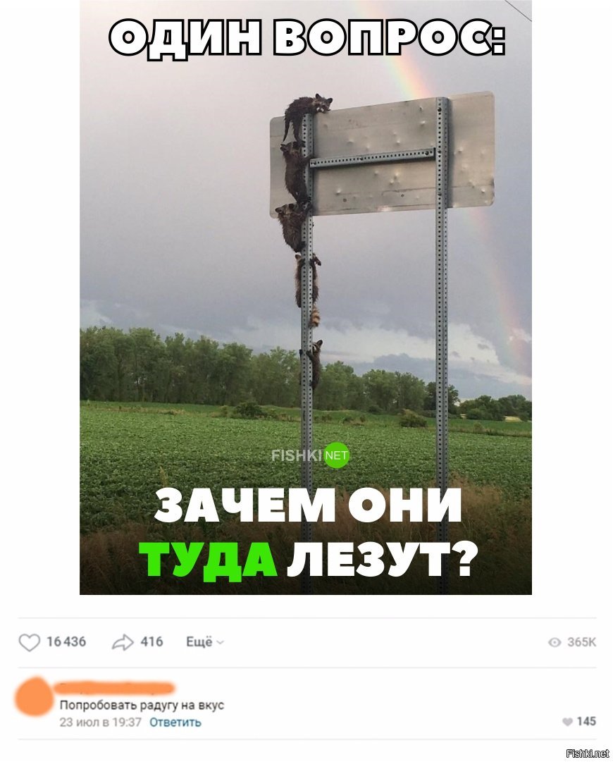 Зачем залез. Ты зачем туда залез Мем. Откуда вылезли туда и лезут. Зачем ты туда полез. Как ты туда залез Мем.