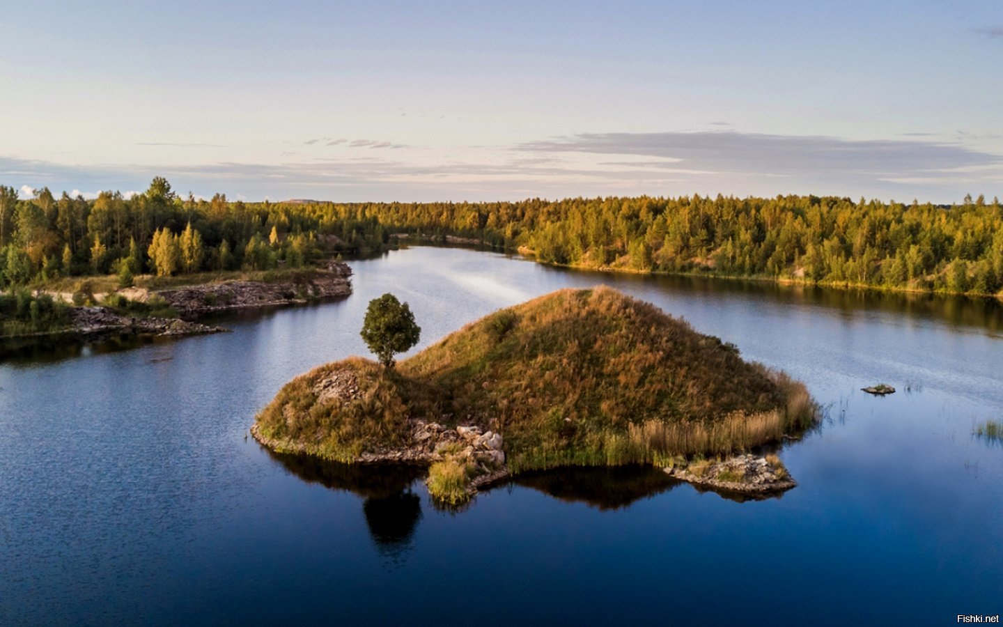 Шабанова остров черепаха Эстония