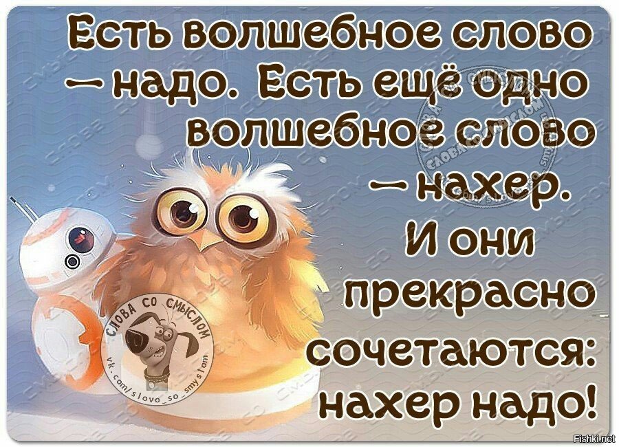 Прикольные статусные картинки