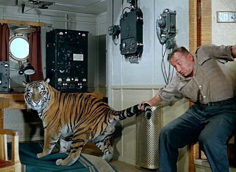 Актёр Алексей Смирнов выступил инициатором нескольких сцен с хищниками. Он даже целый месяц методично ухаживал за тигром, чтобы тот позволил актёру потянуть себя за хвост в фильме "Полосатый рейс", 1961 года