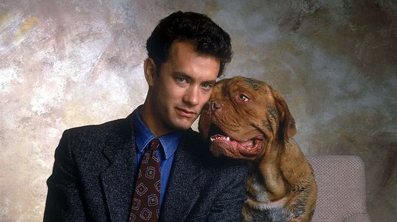  Роль Хуча и фильме "Тёрнер и Хуч", (1989) исполняли две собаки породы бордоский дог – Бисли и Игорь. Бисли изображал умилительные рожицы в кадре, Игорь выполнял все необходимые трюки.