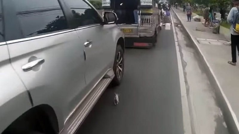 Байкер Кристиан Крехьян, проезжая по оживлённой улице в городе Манила, Филиппины, совершенно случайно увидел что-то маленькое и пушистое возле колёс соседней машины.