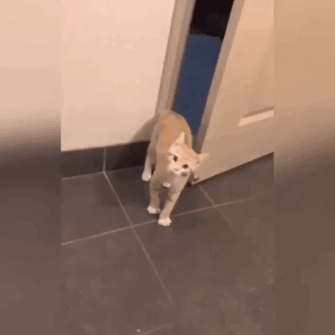 Ошибся дверью