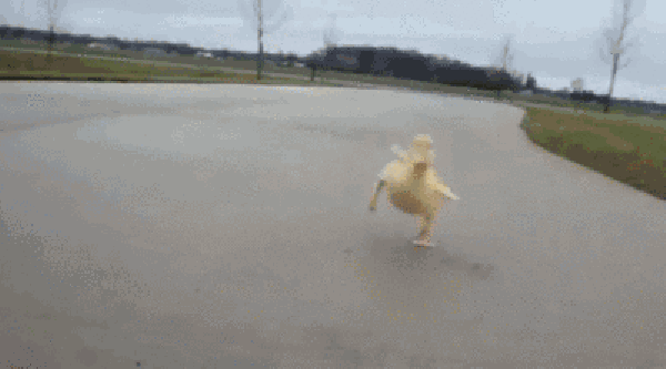 Забавные Gif Забавные Gif