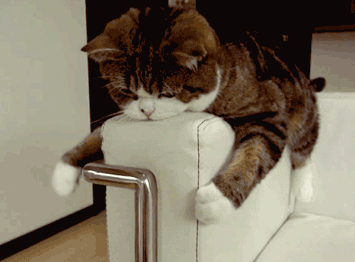 Забавные Gif Забавные Gif