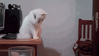 Забавные Gif Забавные Gif