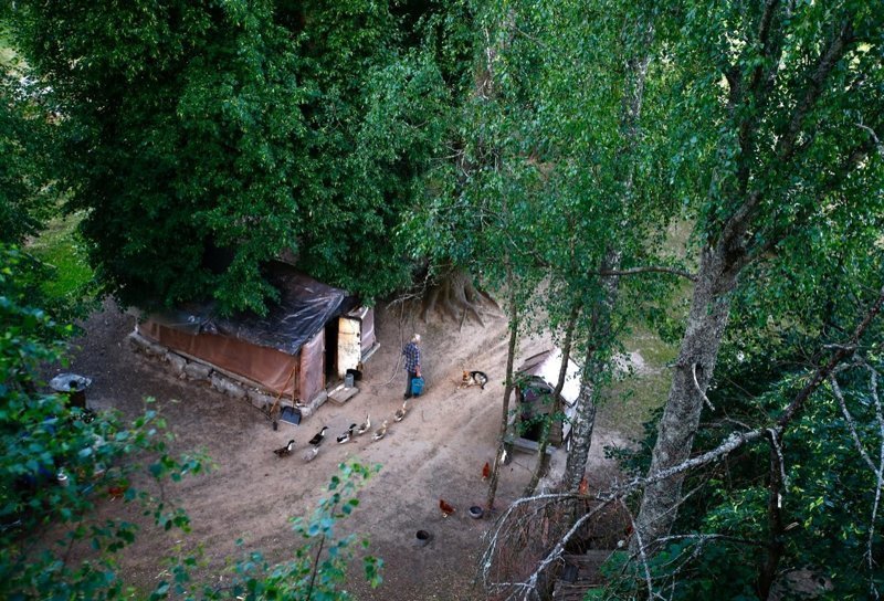 Нет людей, нет проблем: как живет семья отшельников в белорусском лесу